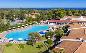 Nicolaus Club Li Cucutti